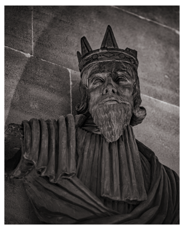 grey king
